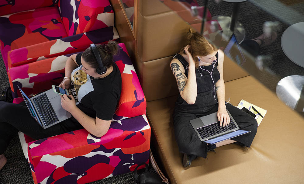 Two students sit in a quiet study area in a library. They are engrossed in their laptops. One is wearing a cat shirt the other is wearing denim overalls.