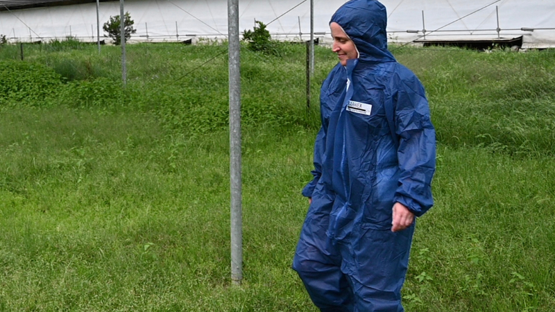 Dr Kylie Hewson completing field research
