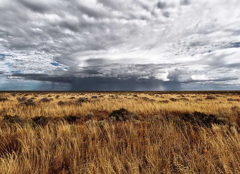 Rain falls over a grassy Australian landscape.