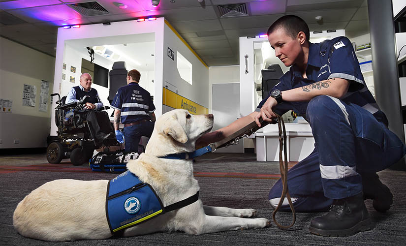 Paramedic student with assistance dog