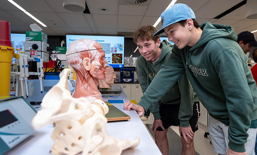 Two male school students look at an anatomical display at laboratory open house on Open Day.