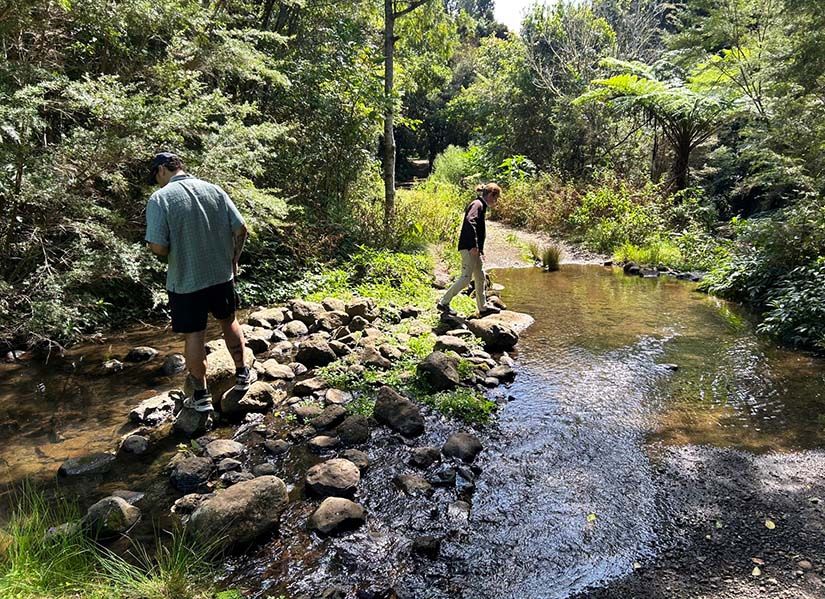 QUT science students collecting water samples