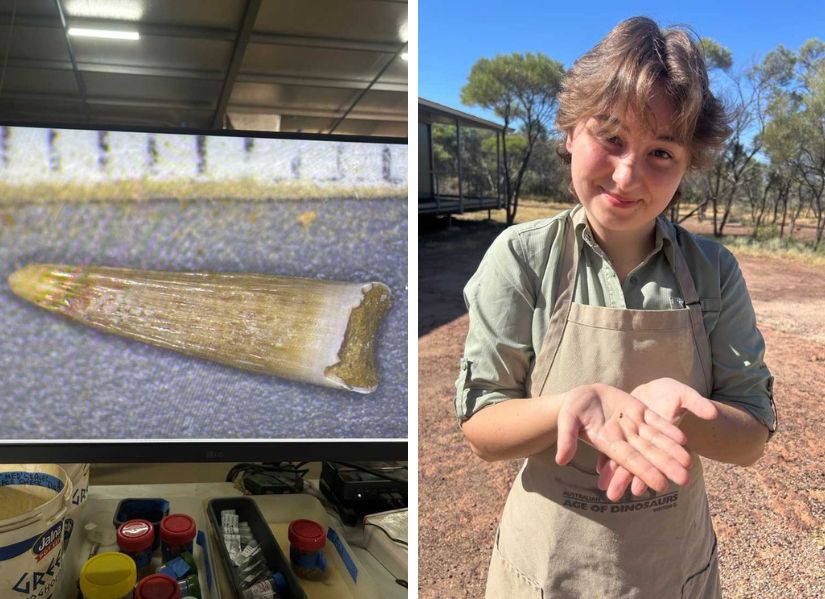 Unearthing the past: Environmental Science outback internship