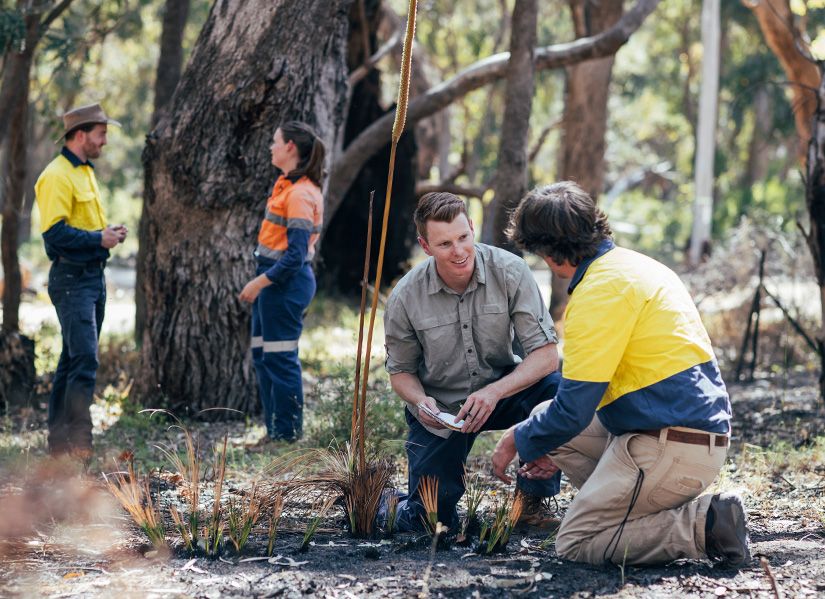 Climate scientist in the Australian bush