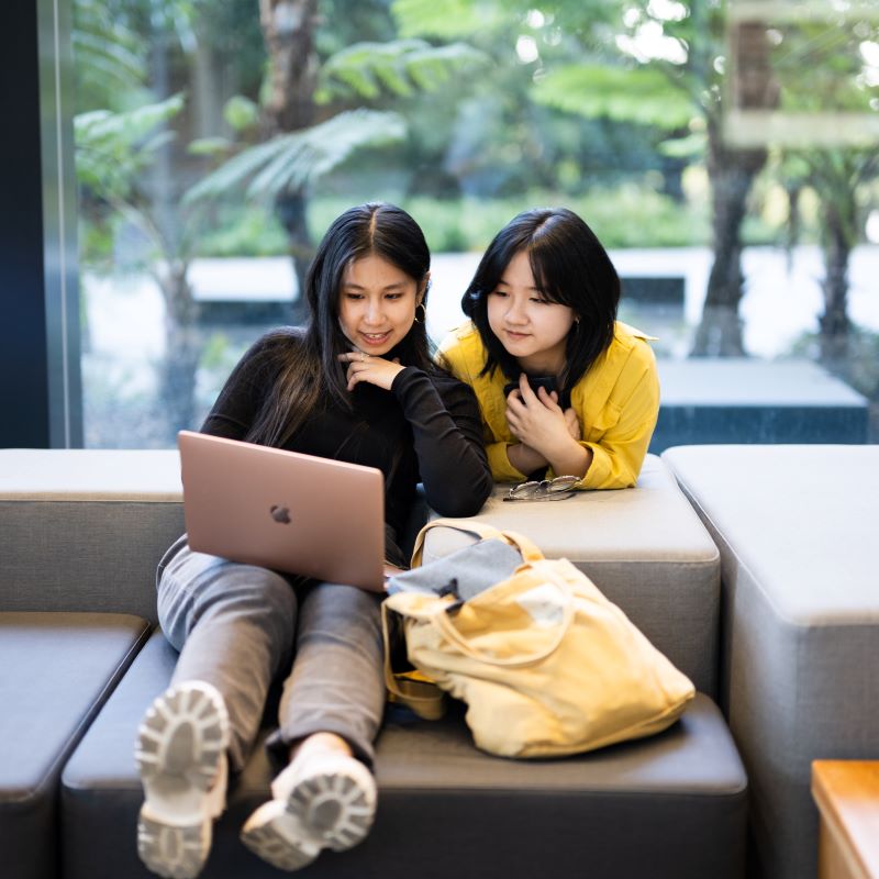 Studying with friends