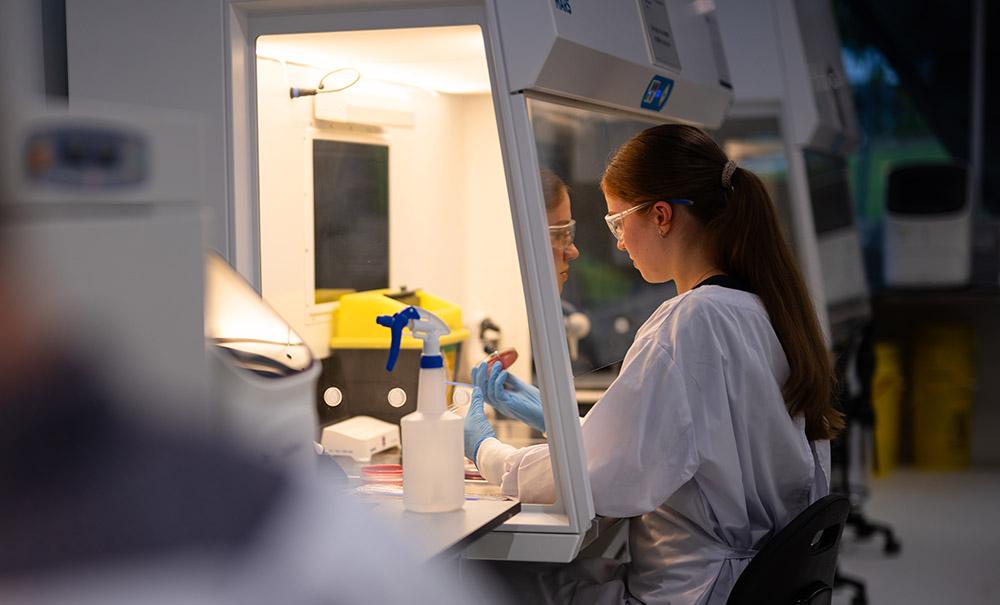 A female student in a lab coat sits infront of what looks like a glass cabinet. This is a fume hood that controls the flow of air around the substance she is working on. Her arms are inside the cabinet and she is swiping bacteria onto a small round plate of agar jelly.