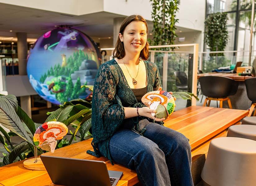 A young woman holds an anatomical model of a brain.