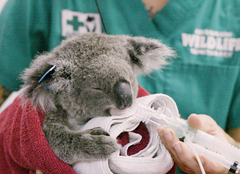 QUT research update: August 2026
