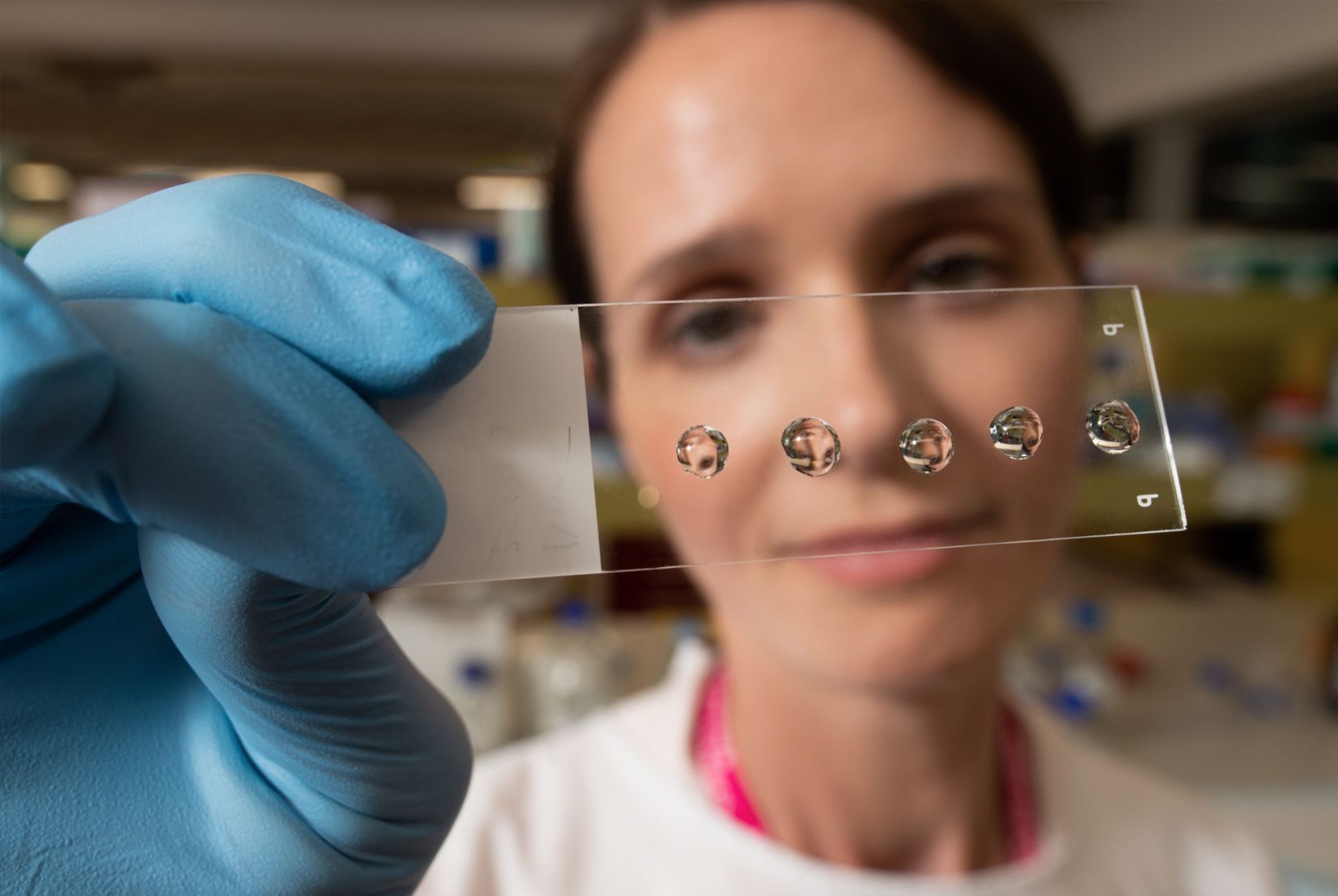 Associate Professor Laura Bray examining hydrogels on a slide