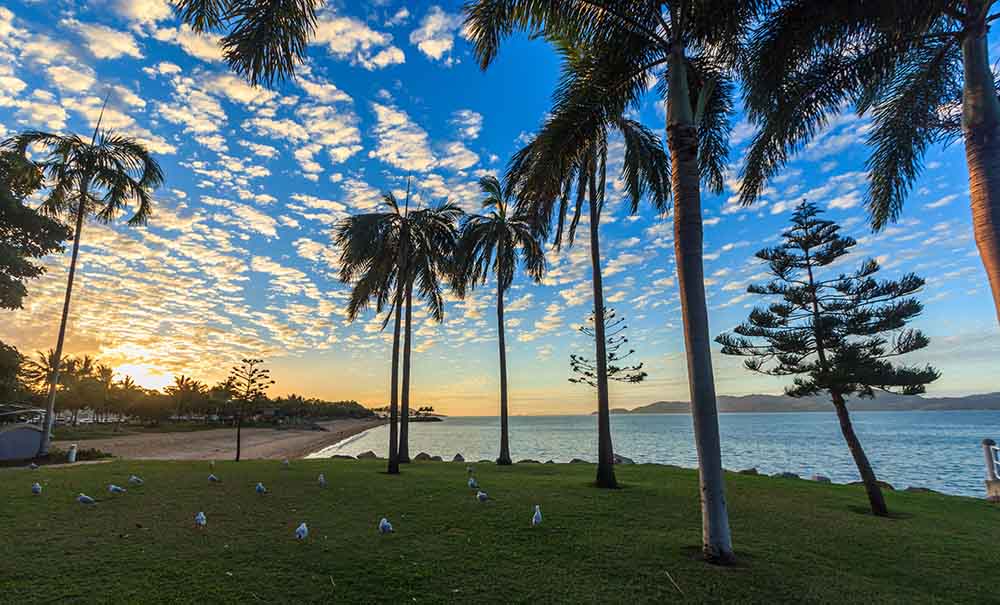 A view of palm trees, the ocean and a warm, blue sky taken from a flat, grassy park on the edge of Townsville.
