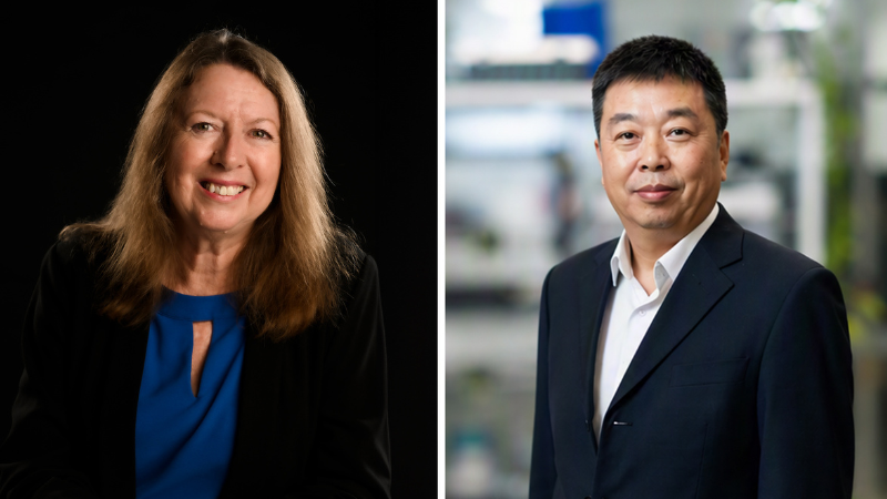 AAHMS fellows
