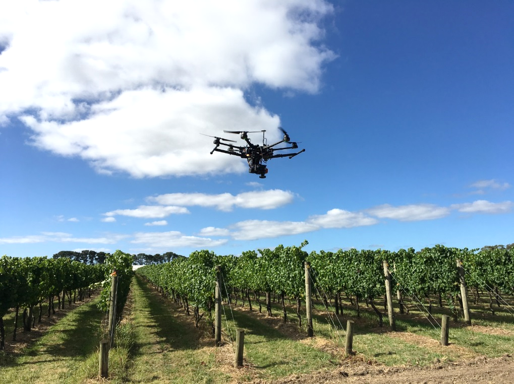A high-tech drone at work in a vineyard