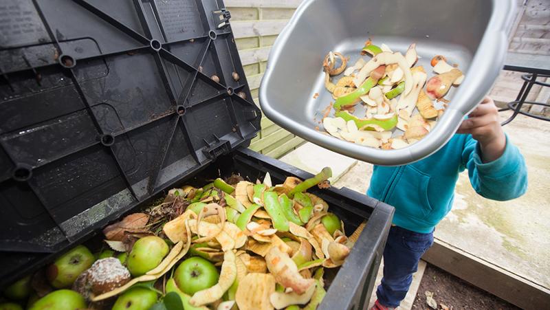 New Framework Helps Optimize Food Waste Management Practices