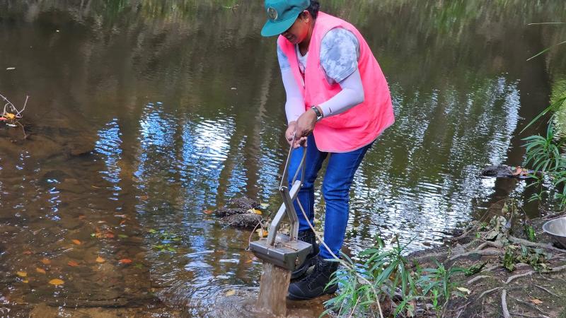 Hazardous microplastics heaviest in Bulimba Creek in Brisbane 